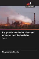 Meghasham Narule | Le Pratiche Delle Risorse Umane Nell'industria | Taschenbuch