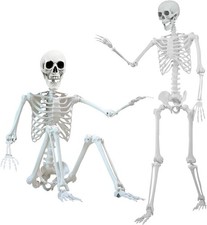 5.4 ft Halloween Skeleton Poseable Skeleton Life Size Skeleton Full Body Plastic