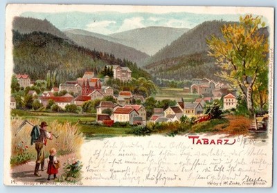 Thuringia Germany Postcard Mountain and Town in Bad Tabarz c1905 Antique Posted
