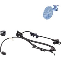 Blue Print ADT37169 Sensor Raddrehzahl FüR Toyota Camry Aurion Avalon V4 X3
