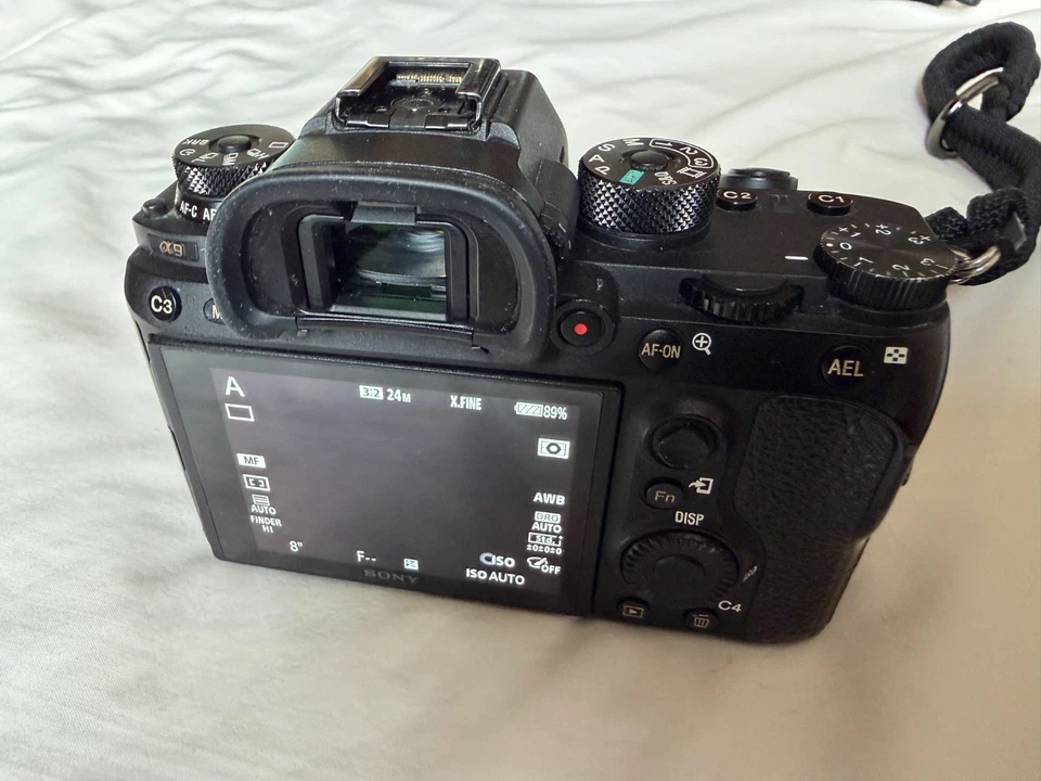 Sony Alpha 9, photo 3 of 5