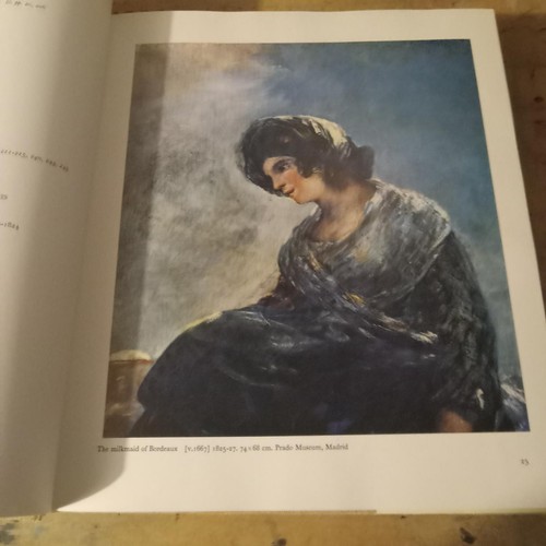 The Life And Complete Work Of Francisco Goya 1971 Reynal Folio HCDJ SlipCase VG+ - Picture 11 of 12
