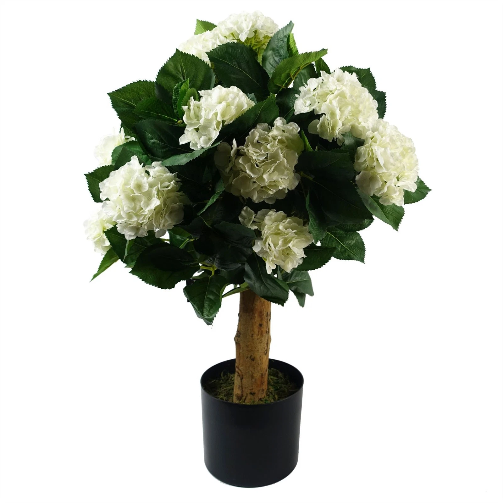 75cm White Bush Hydrangea  - 40789