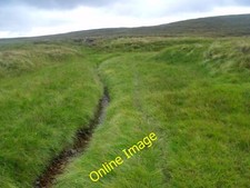 Photo 12x8 Burn-side deer tracks by tributary of Feshie Water near Aviemor c2013