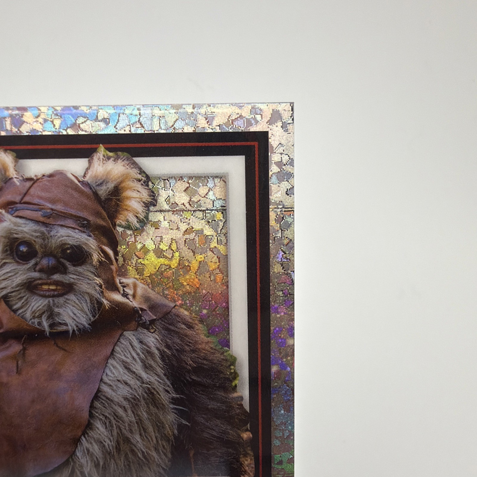 2026 Topps Chrome NSCC Warwick Davis Wicket W. Warrick Star Wars Auto 18/26 view 3