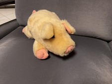 Sunkid ,  Kuscheltier , Stofftier  , Schwein