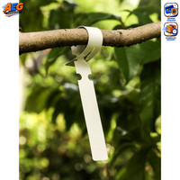 Pflanzenschilder 300 StüCk Kunststoff Wetterfest 21X2 Cm FüR Garten Outdoor Weiß
