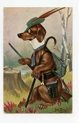 illustrator Arthur THIELE. Le Dachshund . The Hunter Dog. 