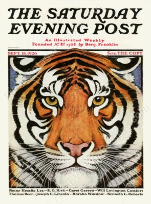 Saturday Evening Post September 18 1926 cover GREAT tiger art NEW poster 18x24
