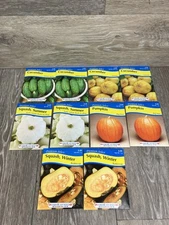Vegetable Garden Seeds 10 Packs Squash Cucumber  & More American Seed