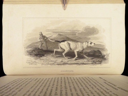 1818 HUNTING 1ed Field Sports Fishing Horse & DOG Fowling Racing FINE BINDING - Picture 15 of 24