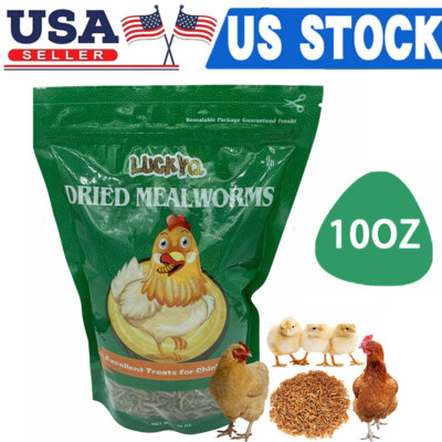 Dried Mealworms Bulk 10oz for chickens Birds Bluebirds Hamsters Hen Meal Worms