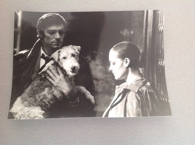 ROMY SCHNEIDER in '' WICHTIG IST ZU LIEBEN '' - Pressefoto 13x18cm