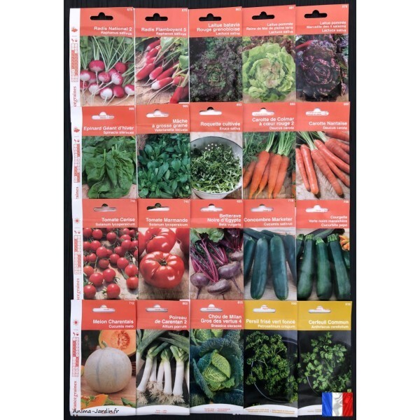 Graines de légumes pour jardin ouvrier et potager de week-end en lot de 20