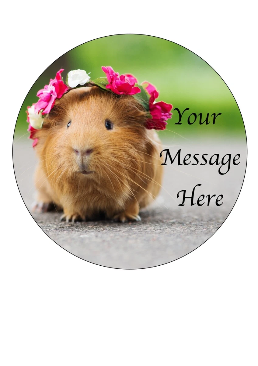 Guinea pig hotsell cake topper