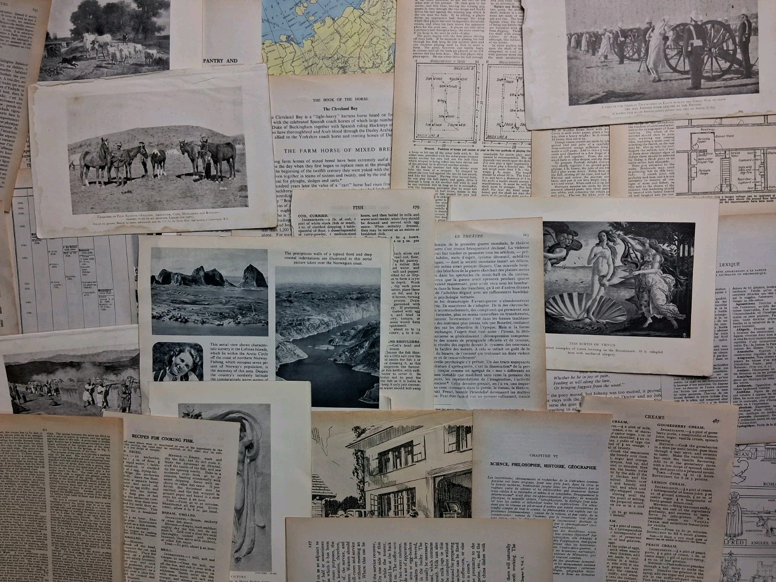 500 + Vintage Book Pages for Junk Journal Scrapbooking Collage Paper Craft