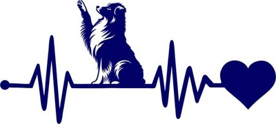 Aufkleber Sticker Herzschlag Hund HHL-014 Australian Shepherd Heartbeat Puls