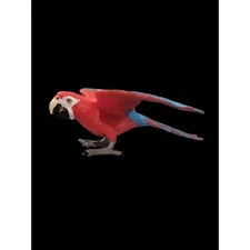 2006 Safari Ltd. Green-Winged Macaw Wings Of The World 4.5 Animal Kingdom Figure