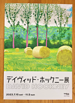 HOCKNEY POSTERS
ハードカバー DAVID HOCKNEY OFFSET LITHOGRAPH PRINT POP ART MUSEUM POSTER