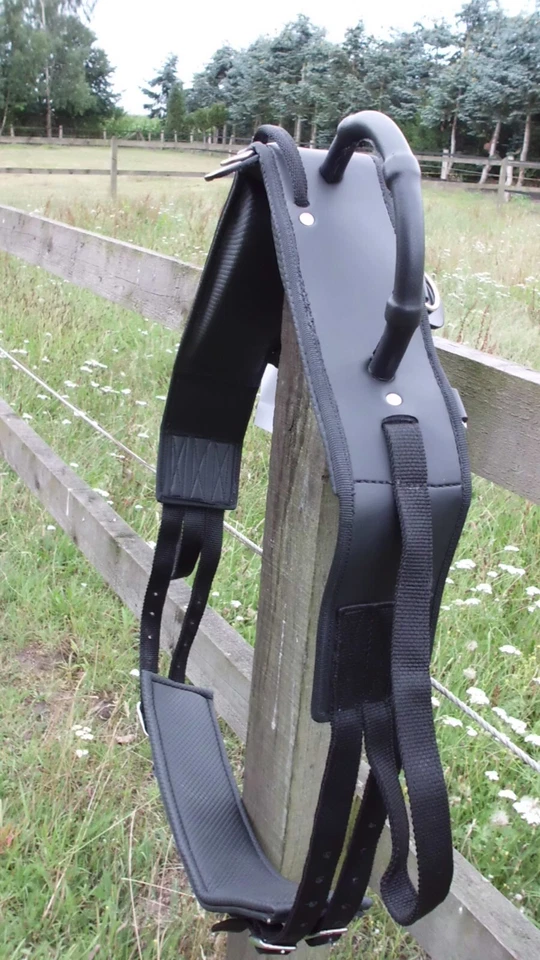 Voltigiergurt , Synthetik m. Beinschlaufen +festen Griffen, Mini-Shetty- X-Full - Bild 2 von 4