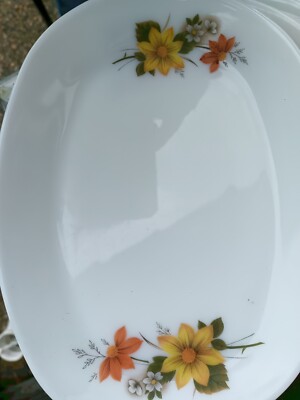 4 Vintage Retro JAJ Pyrex Autumn Glory Floral Oval Steak Speiseteller 30x23cm