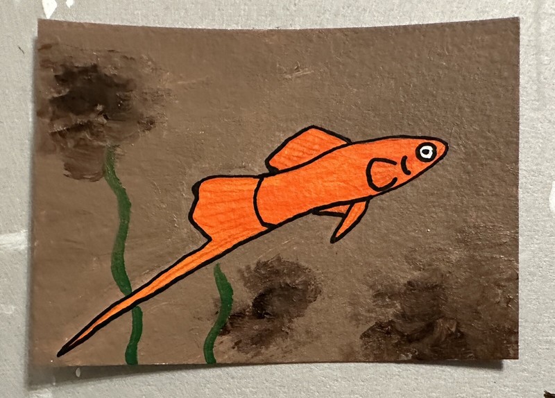 Original ACEO Art Card - Swordtail Fish - 2.5 in x 3.5 in Acrylic Painting