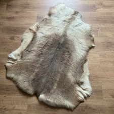 Reindeer Hide Rug 120cm X 100cm - Russian Medium Genuine Timeless