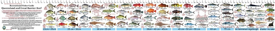Calcomanía adhesiva Fish Measure QLD y Gran Barrera de Coral  Foto 3 de 4