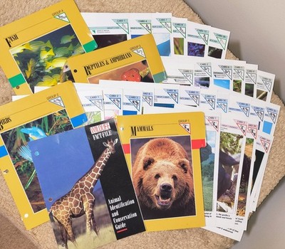Lot Of (32) LN 90s Wildlife Fact-File Cards, Including Chapter