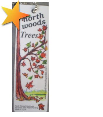 North Woods Trees Plastic Field Guide Identify Trees with Color Pictures WW68279