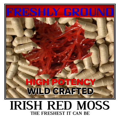 IRISH MOSS RED Sea Raw Whole Wild The Freshest It Can Be 100 Vegetable Capsules