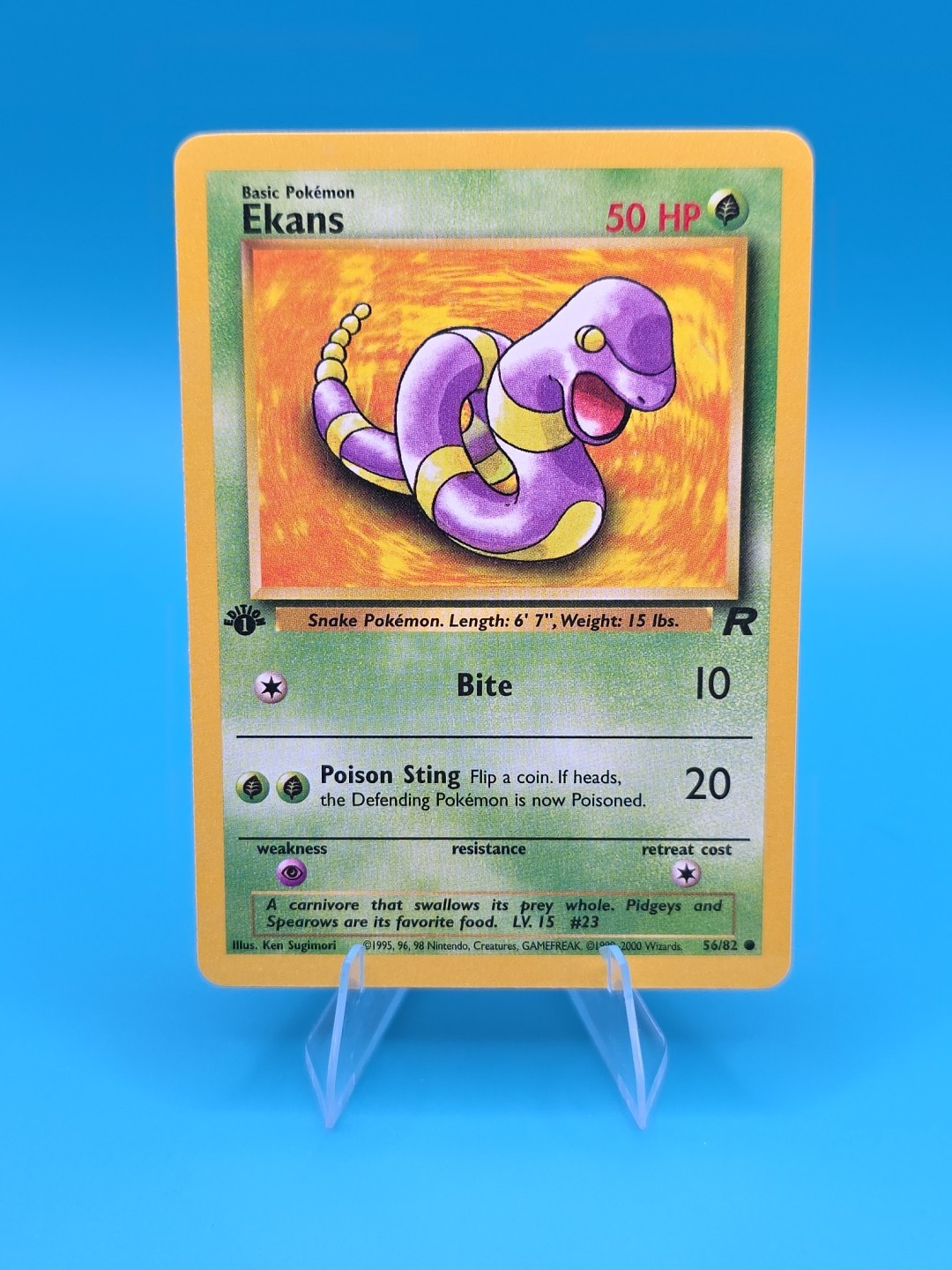 Ekans 1st Edition Common Team Rocket 56/82 NM