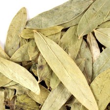 WholeSALE ORGANIC Senna Leaf PREMIUM Dried Whole-4 oz, 1, 2, 5 lbs.