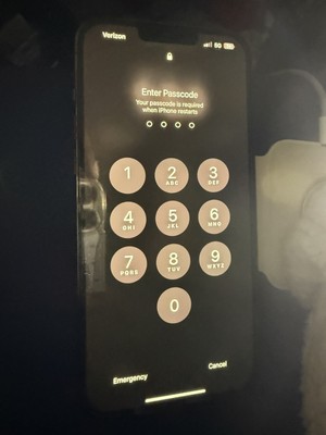 iPhone  13 Pro Max 1 TB TIk TOK Loaded