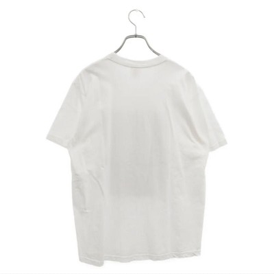 supreme 21SS Raphael Tee Raphael Print | eBay