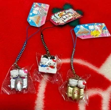 Hello Kitty Fujikyu Highland High Speed FujiYama Strap Rare Vintage