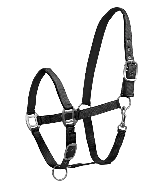 WALDHAUSEN Halfter Satin, Stallhalfter Shetty Ponyhalfter Vollblut Warmblut Kaltbluthalfter