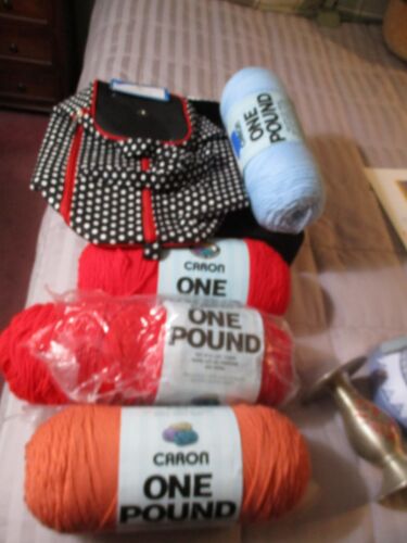 Lot of One Pound Caron Yarns and Yarn Duffle Bag NEW - 第 1/1 張圖片