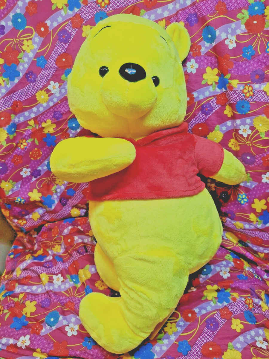 Disney Winnie the Pooh Turn Around Big Pose Plush Doll Toy SEGA 18
