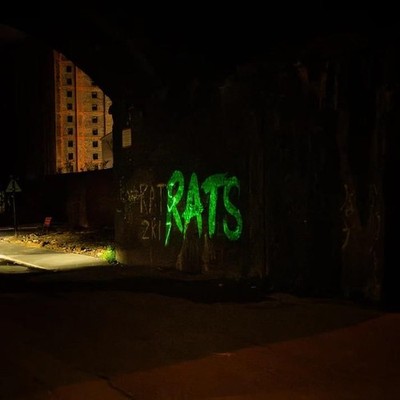 Vinyl Neu - Rats - Rule The World -I- Allsorted Publishing