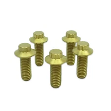 Gold 12 point Mounting Rear Brake Rotors Screws for Harley Softail Dyna Touring