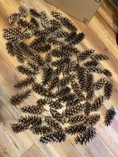 50 DRY PINECONES FOR CRAFTING DECOR HOLIDAY MIXED SIZES