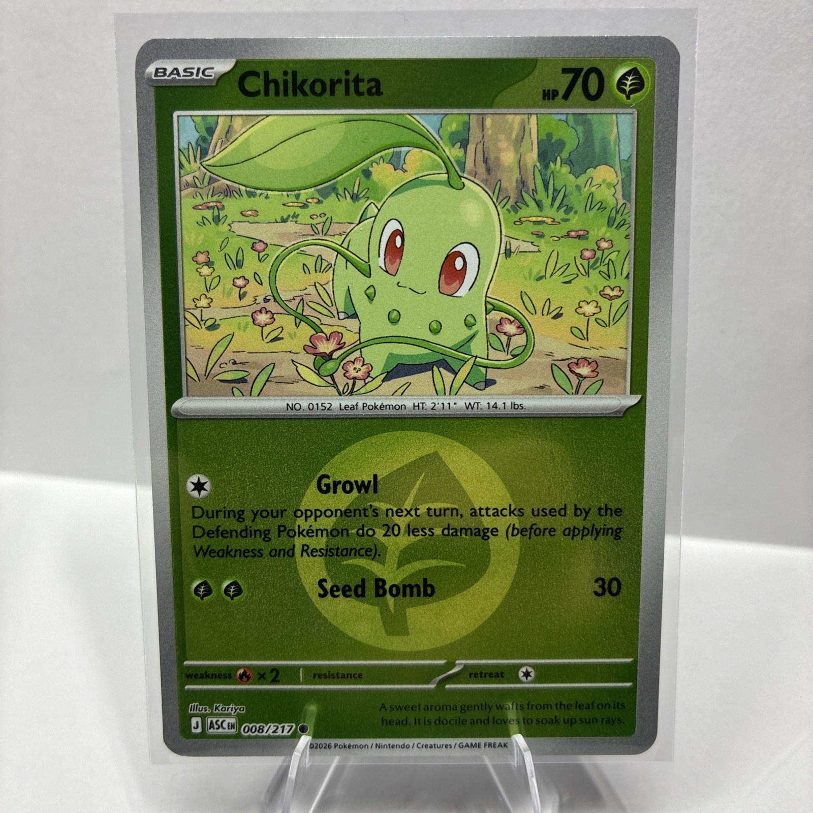 Chikorita (Energy Symbol Pattern) 008/217 Me: Ascended Heroes Reverse Holo