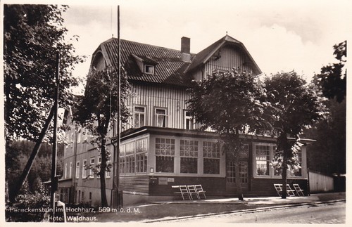 Schöne alte AK Beneckenstein / Hotel Waldhaus
