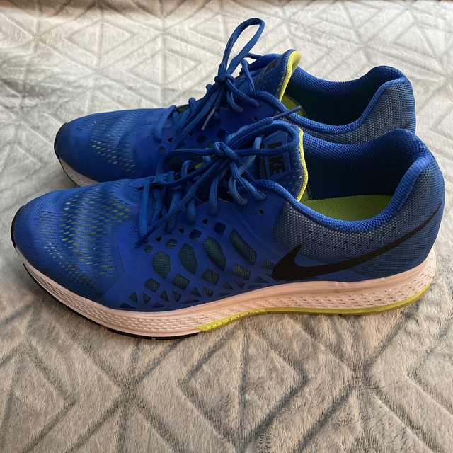 nike air pegasus 31 mens