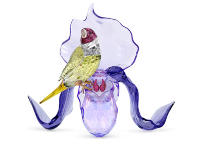 Swarovski 5675211 Idylle Diamant von Gould und Orchidee
