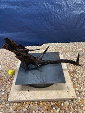 Driftwood Aquarium Reptile Terrarium Home Beach Decor Garden Art Taxidermy