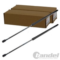 2X NTY Gasfedern KOFFERRAUM-LIFTER Passend FüR Fiat Doblo Opel Combo | AE-FT-041