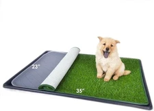 Dog Artificial Grass Pad with Tray for Puppy Potty Training, Fake Turf Patch & W