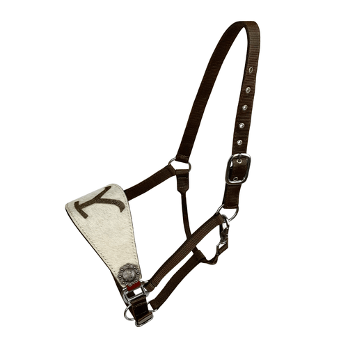 Showman Nylon Bronc Halter w/ Leather Cowhide "Y" Branded Noseband - Picture 1 of 2